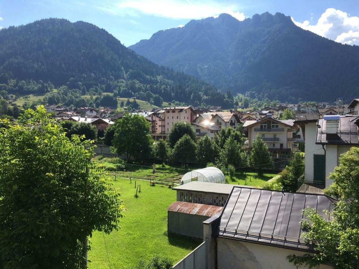 Apartamento La Finestra Sulle Dolomiti - The Window To The Dolomites Fiera Di Primiero Exterior foto